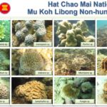 2 อุทยานแห่งชาติของไทยได้รับรองขึ้นเป็นมรดกอาเซียน
