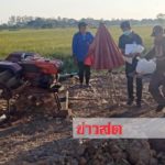 สิ้นลมก่อนได้เก็บเกี่ยว! พ่อเฒ่าสูบน้ำรดนาข้าว สายพานพันคอดับทุรนคาบ่อบาดาลกลางทุ่ง