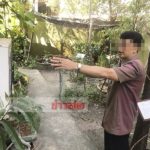 แฉปมเดือด! นร.หญิงม.1 รร.ดังปทุม ประเคนเข่า-ตบรุ่นพี่ ม.2 แม่เห็นคลิปสุดช้ำ