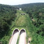 กรมอุทยานฯมุ่งพัฒนา155อุทยานทั่วประเทศสู่ระดับสากล ผนึกกำลังปกป้องผืนป่า