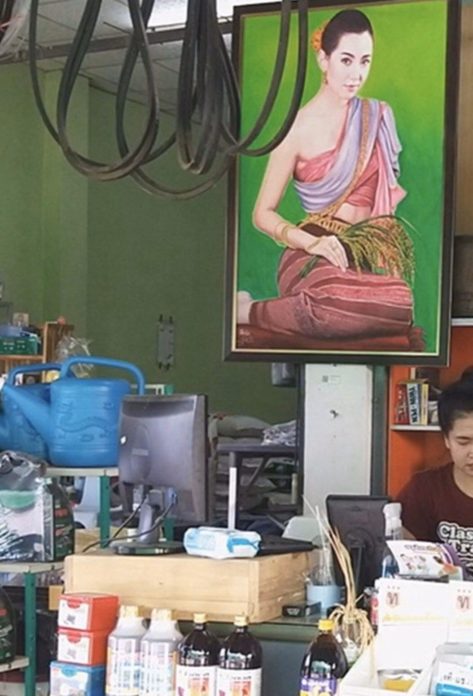 ถูกนำรูปไปบูชาค้าขาย