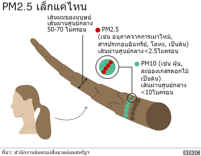 กราฟิก