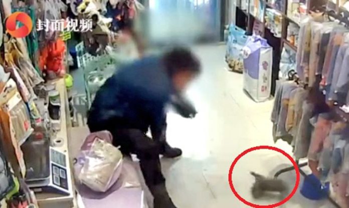 ชาวเน็ตด่ายับหญิงขว้าง “ลูกแมว”
