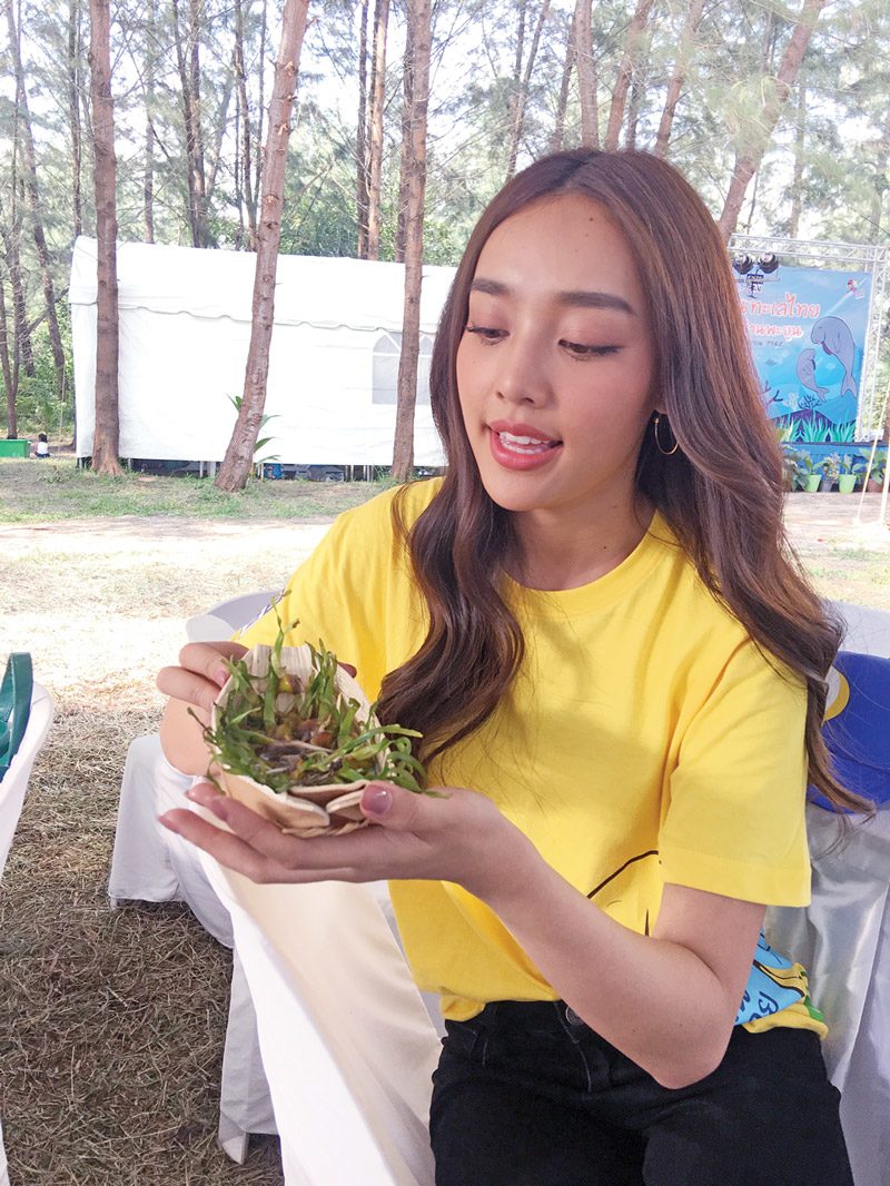 ‘น้ำตาล’บุกถิ่นพะยูน-ปลูกหญ้าทะเล