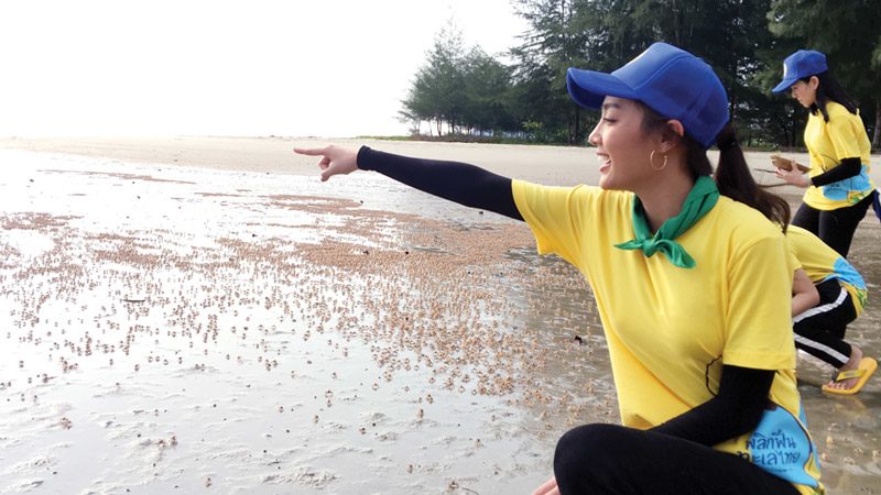 ‘น้ำตาล’บุกถิ่นพะยูน-ปลูกหญ้าทะเล