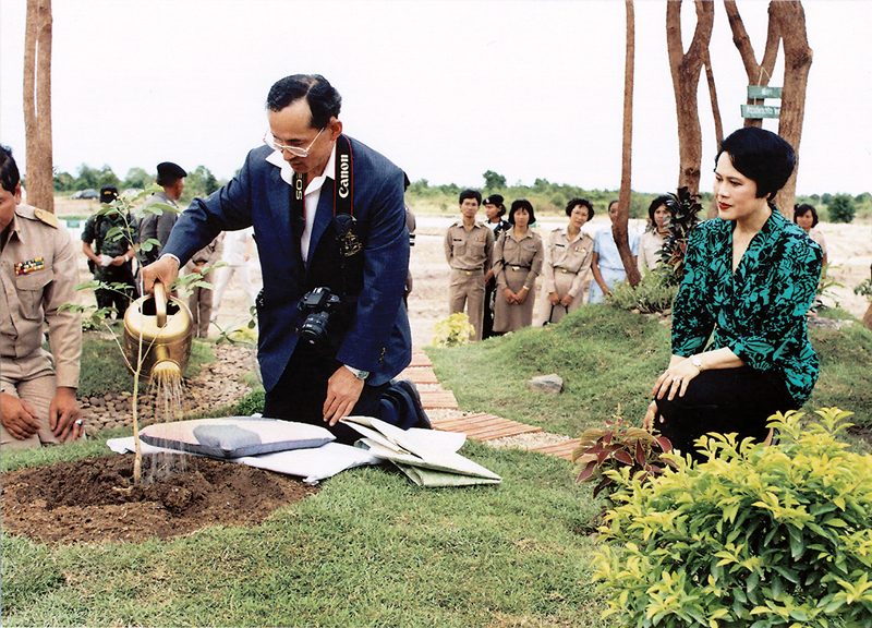 น้อมรำลึกในหลวงร.9