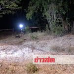 ผงะหมาคาบขาเด็ก! เจอศพทารกยัดถุงโยนทิ้งกองไฟถูกเผาเหลือครึ่งตัว คล้ายโดนหั่น(คลิป)