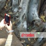 รวมหวยเด็ด เลขคำชะโนด-พะเยา เจ้าแม่ตะเคียนหินถูก100ล้าน เลขคดีดังหั่นศพแม่