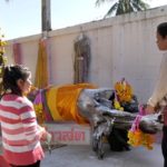 ฮือฮา! ต้นตะเคียน อายุกว่า 100ปีจมใต้สระ เผยฝันประหลาด บอกจะให้โชค