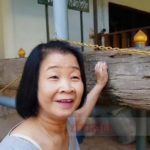เห็นเลขชัดๆ! แห่ขอโชค เรือโบราณ วัดดังพะเยา เผย ครูบาเจ้าศรีวิชัย เคยมาสร้าง