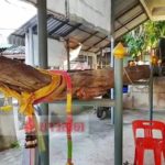เห็นเลขชัดๆ! แห่ขอโชค เรือโบราณ วัดดังพะเยา เผย ครูบาเจ้าศรีวิชัย เคยมาสร้าง