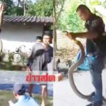 วงแตกลุกวิ่งพรวด! นั่งดูทีวีกลางบ้านเจอตัวเบ้อเร่อดำมะเมื่อมยาว4เมตรเลื้อยผ่านหน้า(คลิป)