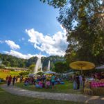 อ.ส.พ.ชวนเที่ยวงาน Botanic Festival 2020 จ.เชียงใหม่ วันที่ 1 ม.ค. เข้าฟรี