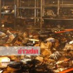 ไฟไหม้ตลาดพูนทรัพย์! เผาวอดโซนเครื่องเสียง เศร้าสุนัขโดนคลอกตายคากองเพลิง(คลิป)