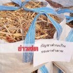 เลขา‘ป.ป.ส.’ ลุยตรวจโครงการผลิตกัญชาทางการแพทย์ รพ.พระอาจารย์ฝั้น-มทร.อีสาน