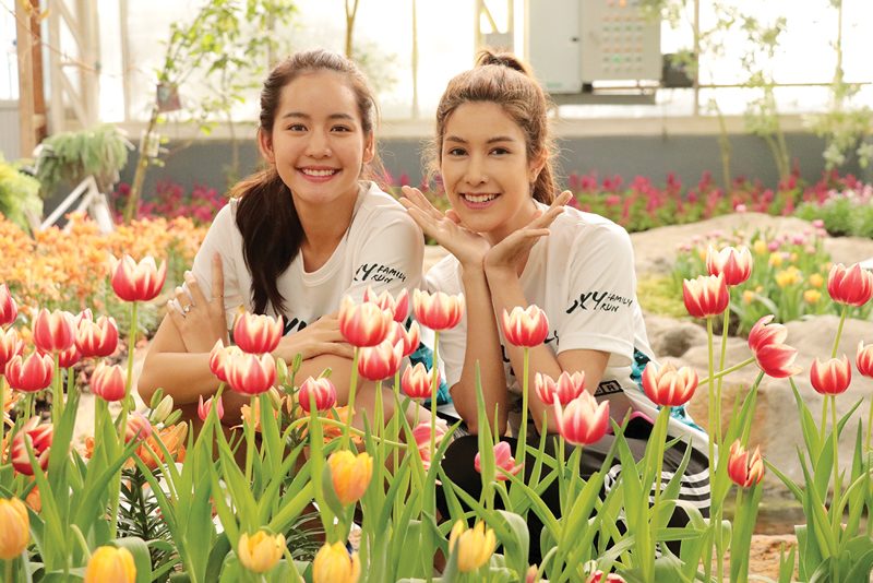 ‘โบว์-มิกค์’นำทีมวิ่งส่งท้ายปี