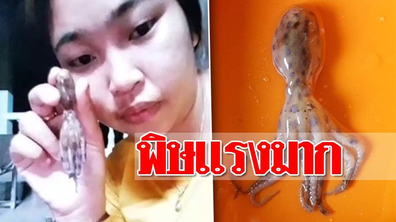 à¸ªà¸²à¸§à¹à¸à¸¢ à¹à¸ à¸ à¸à¸¢ à¸à¹à¸ªà¸à¸£ à¸­à¸ à¸à¸¥à¸²à¸«à¸¡ à¸à¸à¸¥ à¸£ à¸ à¸ à¸©à¹à¸£à¸à¸à¸§ à¸²à¸ à¹à¸« à¸²