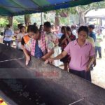แห่ขอหวย แม่แสงทอง เรือตะเคียนโบราณขนาดใหญ่ ใช้ผ้าชุปน้ำมันถูหาเลขเด็ด