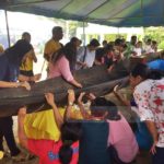แห่ขอหวย แม่แสงทอง เรือตะเคียนโบราณขนาดใหญ่ ใช้ผ้าชุปน้ำมันถูหาเลขเด็ด