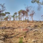 ลุยแจ้งจับรัฐมนตรี-พ่อ รุกป่ามรดกโลกเขาใหญ่ ผงะ! เขมือบที่ดินอีกหลายแปลง