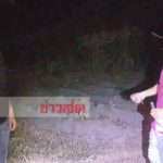 เงยหน้ามาตะลึง! เสือโคร่งตัวเบ้อเร่อยืนจ้องสบตา หนุ่มเหงื่อท่วม-แข้งขาอ่อน เล่านาทีรอด