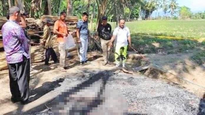 หนุ่มหุ่นหมีลวง “ฆ่า-เผา”