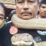 ยายผงะเข่าอ่อนรีบยกมือไหว้! บอกขอให้ไปตามทางของท่านเถิด เจอพญาบองหลายักษ์(คลิป)
