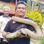 ยายผงะเข่าอ่อนรีบยกมือไหว้! บอกขอให้ไปตามทางของท่านเถิด เจอพญาบองหลายักษ์(คลิป)