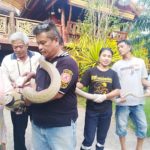 ยายผงะเข่าอ่อนรีบยกมือไหว้! บอกขอให้ไปตามทางของท่านเถิด เจอพญาบองหลายักษ์(คลิป)