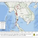 แผ่นดินเขย่า2.8 จุดศูนย์กลางที่บางสะพาน ชาวบ้านแตกตื่นตกใจกลัว บ้านเรือนร้าวเฝ้าระวังสึนามิ