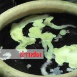 รวมหวยเด็ด เลขคำชะโนด-เจ้าแม่ตะเคียน 3กุมารทองให้ชัด เลขดังเชียงใหม่มาแรง