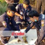 ผงะหัวกะโหลกโผล่ป่าข้างถนน! สงสัยโดนตัวเงินตัวทองแทะกินจนเหลือแต่ชิ้นส่วนกระดูก(คลิป)