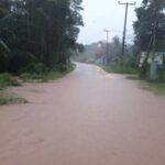 ชุมพรอ่วม! ฤทธิ์ฝนถล่ม นาน12ชม. พัดต้นไม้ล้ม-น้ำป่าหลากท่วม 10หมู่บ้าน