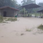 ชุมพรอ่วม! ฤทธิ์ฝนถล่ม นาน12ชม. พัดต้นไม้ล้ม-น้ำป่าหลากท่วม 10หมู่บ้าน