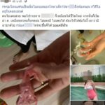 สาวรายการดัง โผล่โพสต์หลังถูกหนุ่ม แฉมีกิ๊ก รับเพราะกิเลสตัณหา-สร้างโลกอีกใบ
