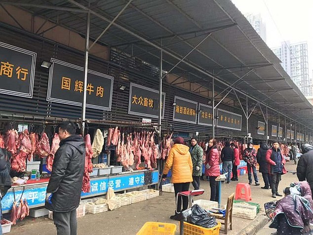 ถาวร! จีนจ่อห้ามกิน-ขายสัตว์ป่าเพื่อการบริโภค