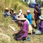แห่ขอโชคลาภ! ต้นตะเคียน กลายเป็นหินในสระน้ำโบราณ ช็อก! ถ่ายติดหน้าญิงชรา