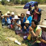 แห่ขอโชคลาภ! ต้นตะเคียน กลายเป็นหินในสระน้ำโบราณ ช็อก! ถ่ายติดหน้าญิงชรา