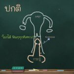 รพ.ตำรวจเปิดแล้ว คลินิกใจถึงใจ ให้ความรู้คู่รัก เป็นเทรนเนอร์เรื่องเพศ