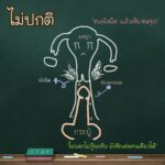 รพ.ตำรวจเปิดแล้ว คลินิกใจถึงใจ ให้ความรู้คู่รัก เป็นเทรนเนอร์เรื่องเพศ
