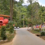 ททท.สุราษฎร์ฯ ชวนนักท่องเที่ยวไทย สัมผัสธรรมชาติอุทยานเขาสก 