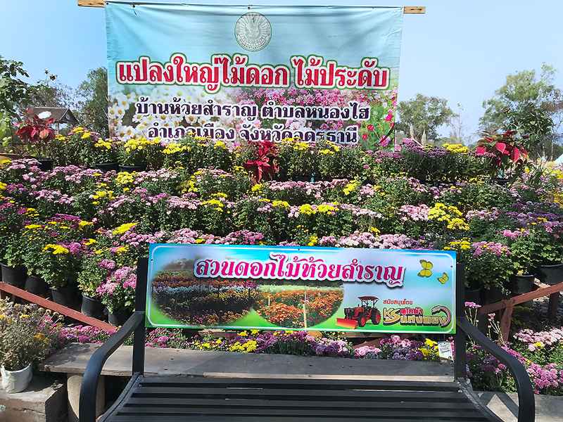 รายงานพิเศษ