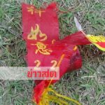 ถูกหวย4งวดติด! ชาวบ้านแห่แก้บนรูปปั้น‘พระราชมนู’ทหารเอกคู่พระทัย‘สมเด็จพระนเรศวร’(คลิป)