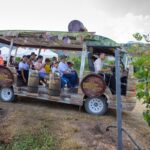 ชวนเที่ยวไร่องุ่นหัวหิน รสชาติดี-บรรยากาศชิลๆ