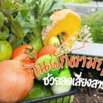 อยากกินผักผลไม้ แต่กลัวสารเคมี ฟังทางนี้ มีวิธีลดเสี่ยง