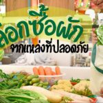 อยากกินผักผลไม้ แต่กลัวสารเคมี ฟังทางนี้ มีวิธีลดเสี่ยง