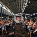 ฝรั่งเผยภาพโรงฆ่าสัตว์ไทย โหดสุดพีก ทุบแล้วเชือด! จี้เปลี่ยนวิธี-ลดทารุณ