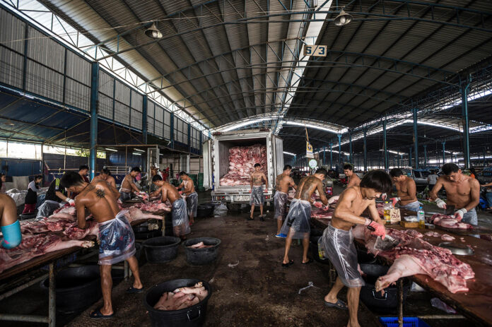 ฝรั่งเผยภาพโรงฆ่าสัตว์ไทย