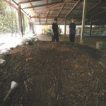 บทความผู้ใหญ่บ้านจอมพลังแห่งบ้านเตย