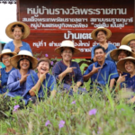 บทความผู้ใหญ่บ้านจอมพลังแห่งบ้านเตย